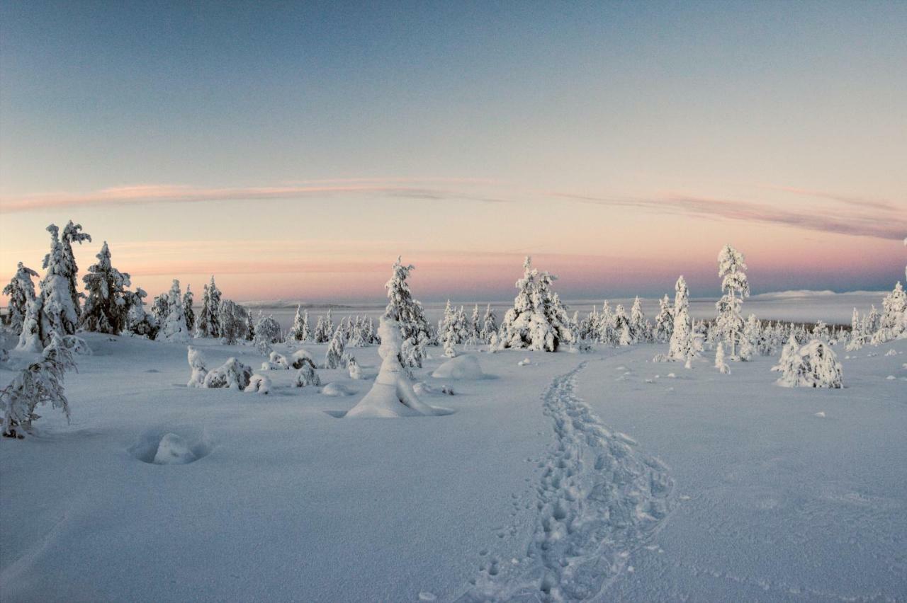 Lapland Dream Villas Rauhala Exterior foto